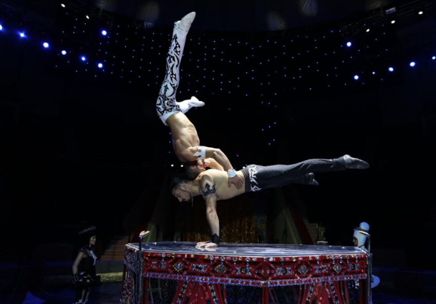 Артисты Росгосцирка примут участие в фестивале циркового искусства в Будапеште