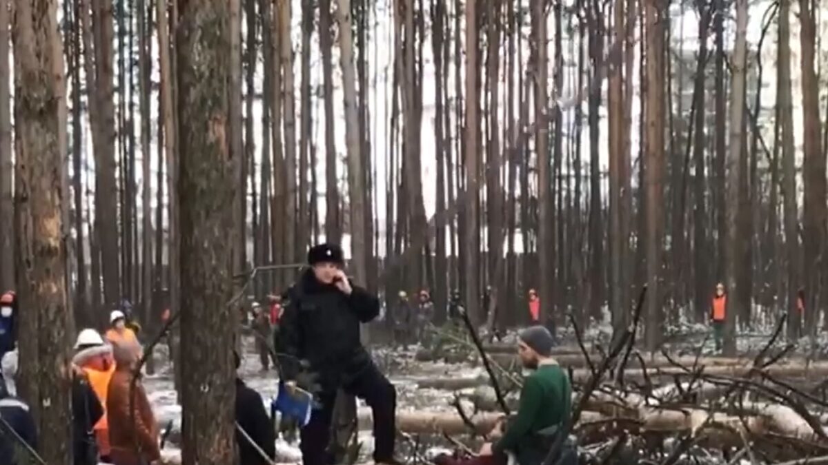 “Человек региона-2021” в Удмуртии спасает городские леса Ижевска 