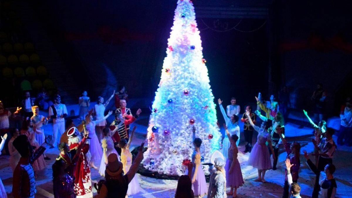 Более 700 тысяч человек посетили представления Росгосцирка в новогодние праздники