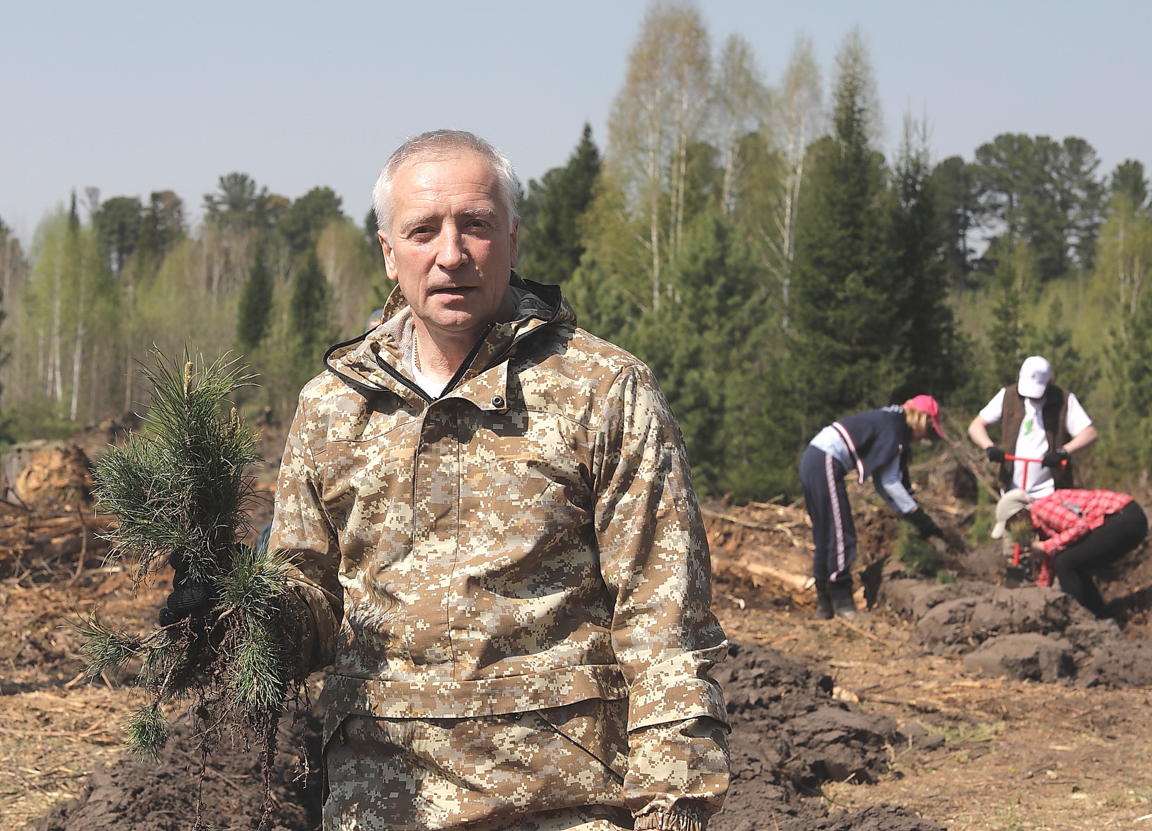 Врио губернатора Томской области дал старт акции «Сад памяти», посадив кедры