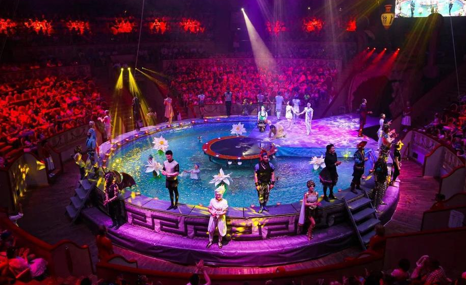 Школьники из Донбасса посетили представление в цирке Санкт-Петербурга