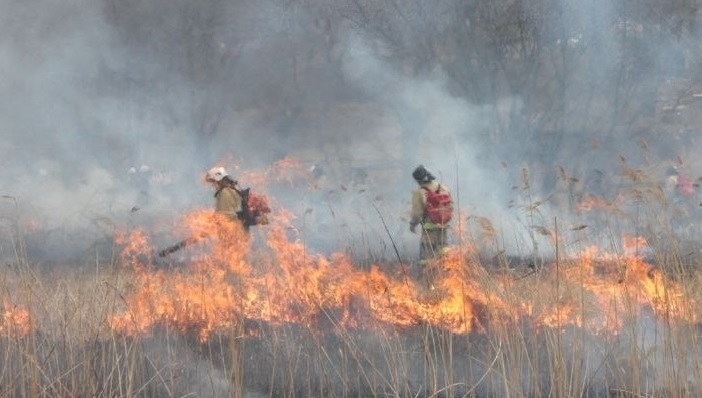 Пожарные Саратовской области спасли из огня 51 человека