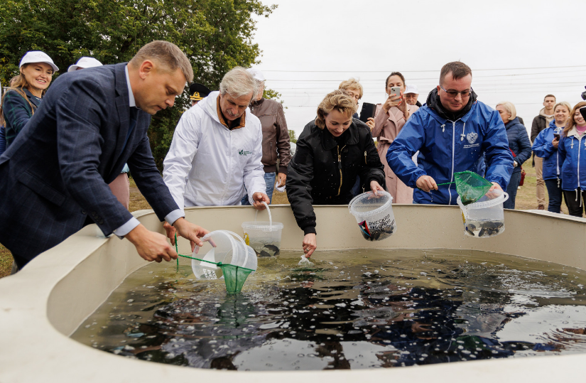 В Шершнёвское водохранилище выпущено 40 тысяч молоди сазана