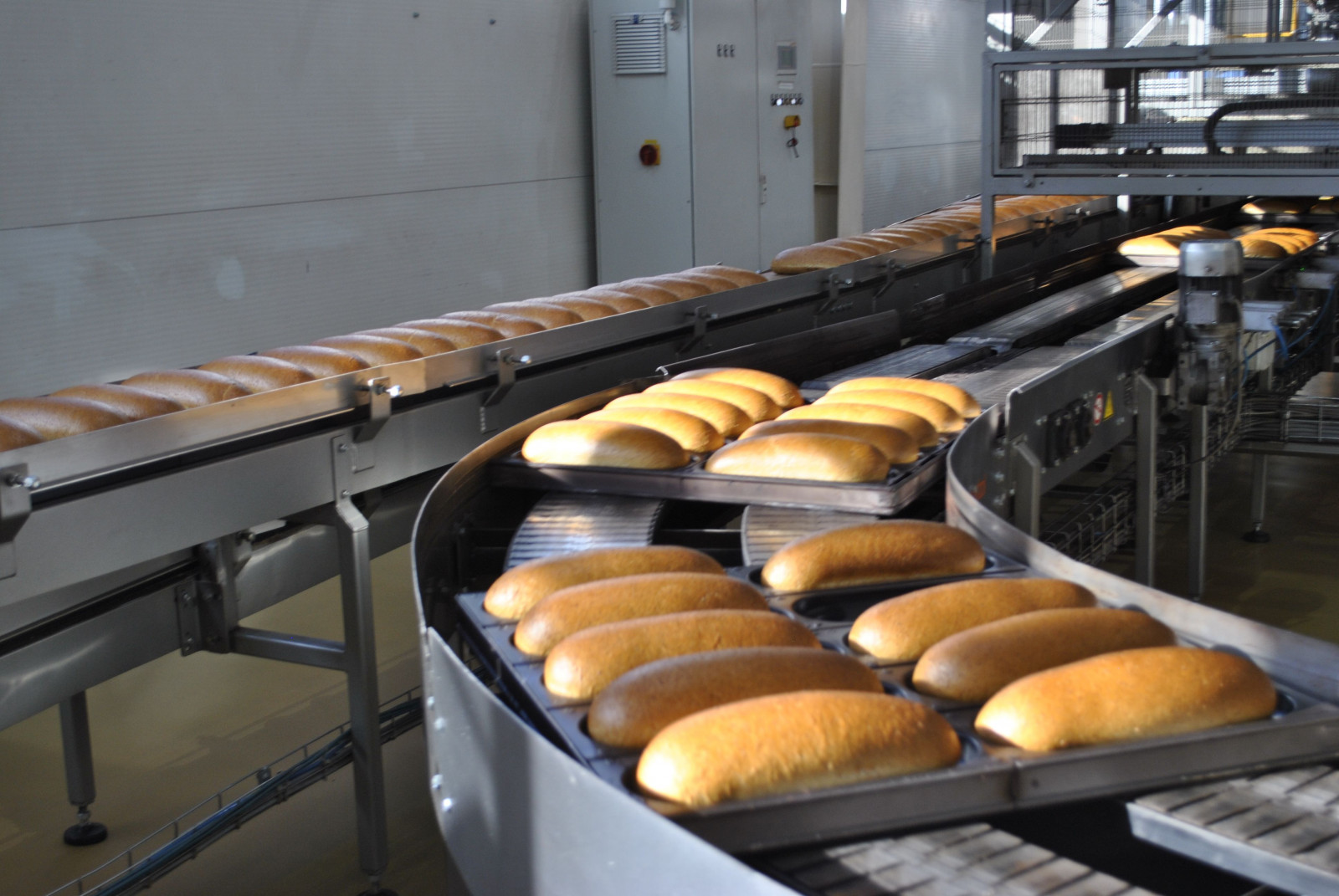Хлебопекарная отрасль Дона: строительство новых и расширение действующих производств