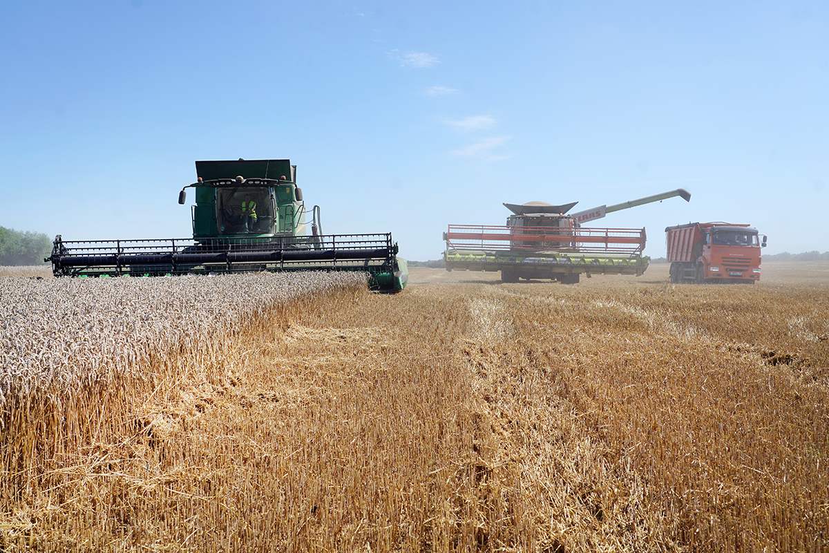 В Калининградской области подвели предварительные итоги рейтинга сельхозпроизводства