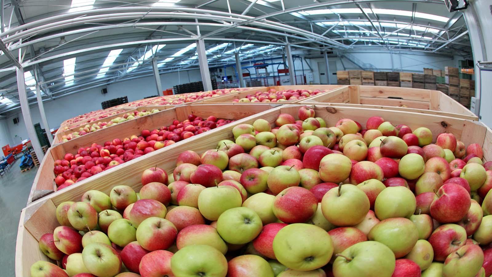 Более 1 млрд рублей предоставил ВТБ дагестанскому предприятию для строительства фруктохранилища