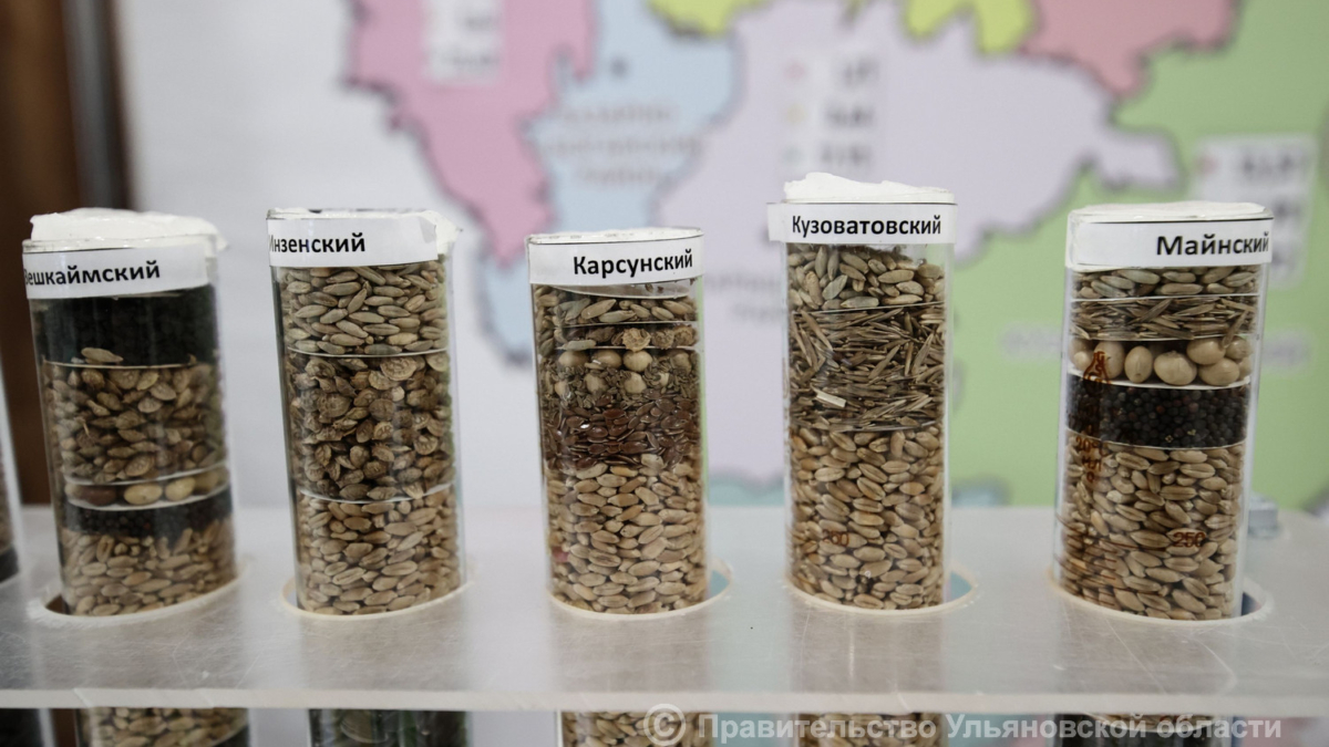 Русских: Ульяновские сельхозпроизводители достойно подошли к началу весеннего сезона