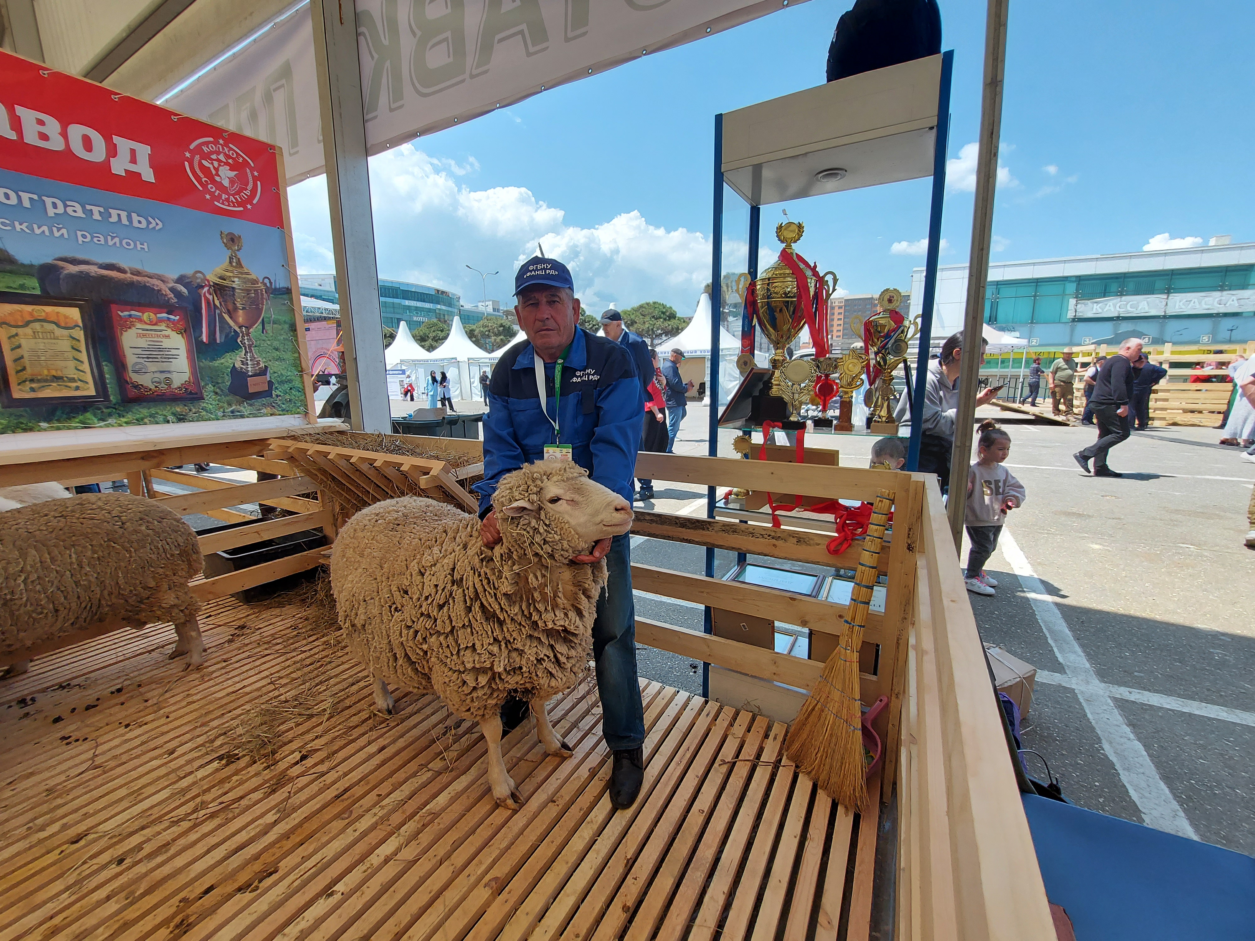 Дагестан дал старт XXIII Российской выставке племенных овец и коз