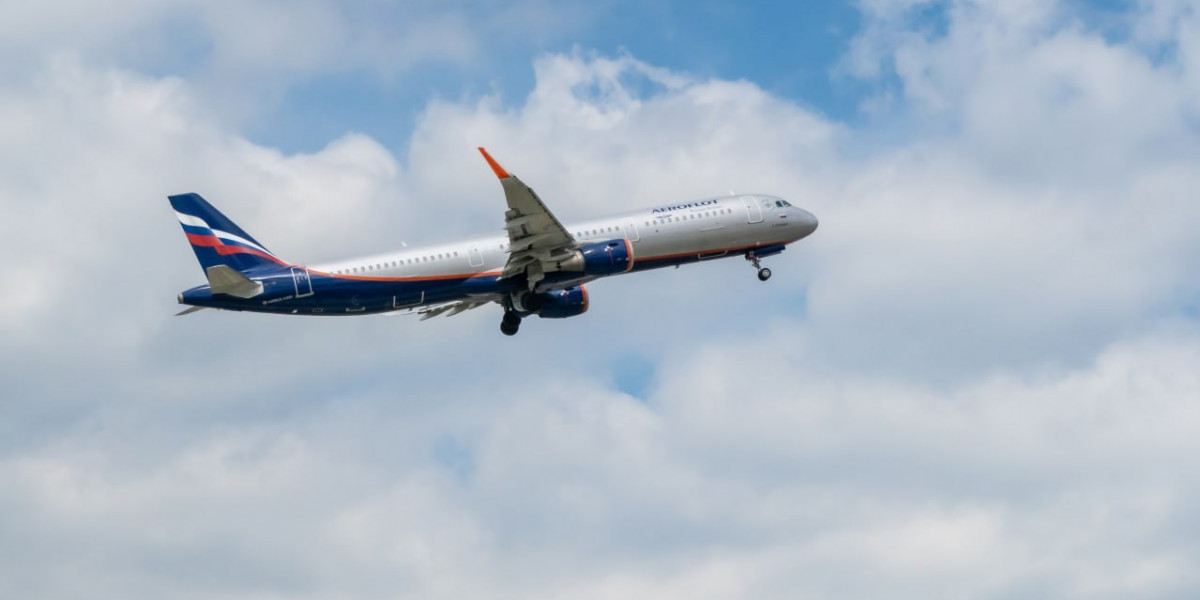 Краевой депутат Евгения Боровикова подверглась атаке хейтеров после критики авиакомпании «Победа»