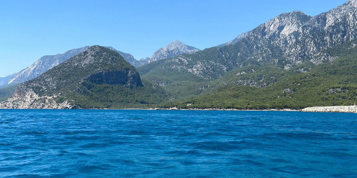 Украину надо сделать редакции