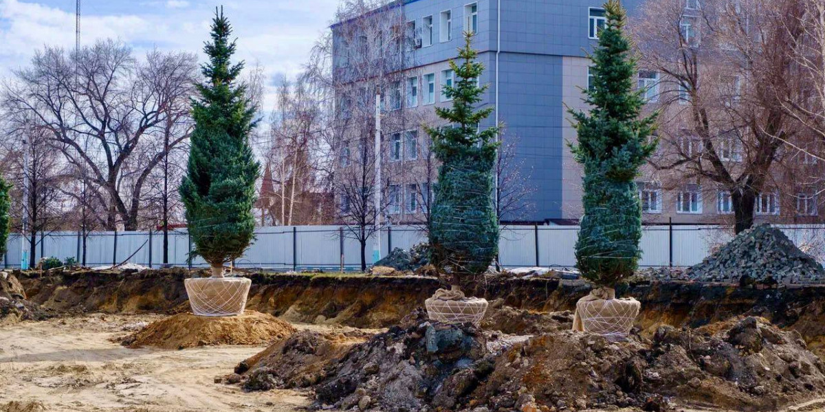 С территории нового хирургического корпуса ЧОДКБ пересадили все деревья-крупномеры