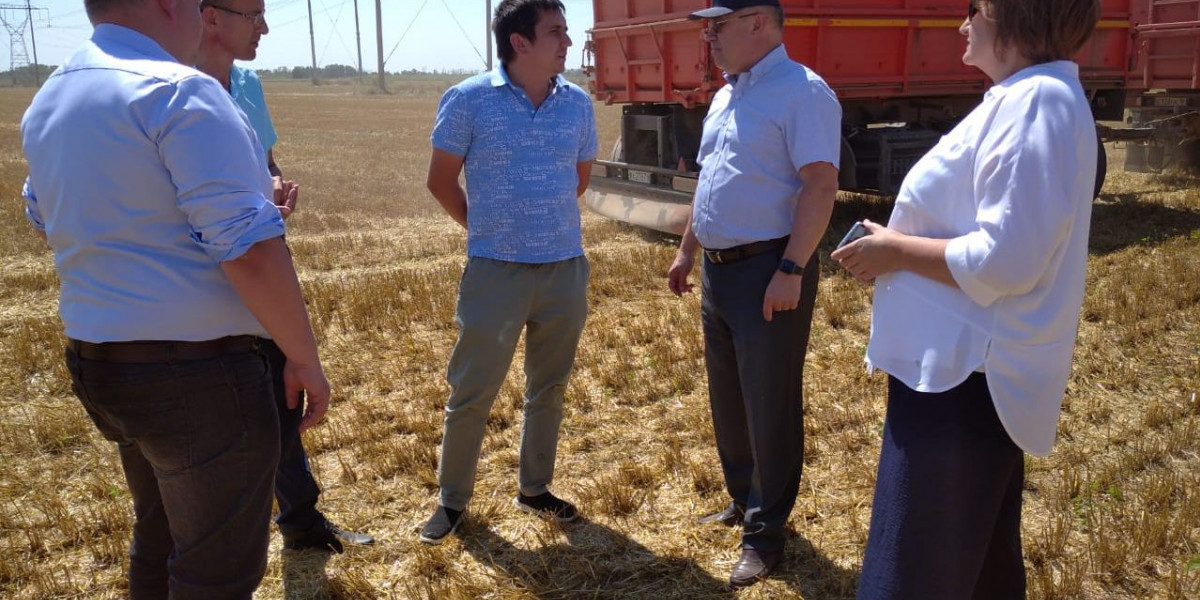 На Дону ожидается богатый урожай зерновых
