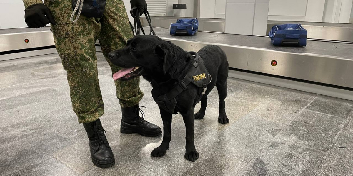 На 7 месяцев отправятся в колонию трое индусов за попытку незаконно перейти границу