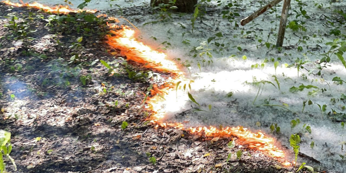 В Белгородской области зафиксировали первые случаи возгорания камыша