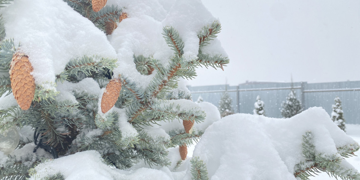 Ивановские коммунальщики признали свое бессилие перед недельным снегопадом