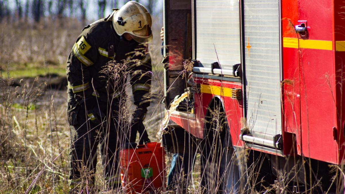 Дознаватели МЧС установили 12 виновников природных пожаров