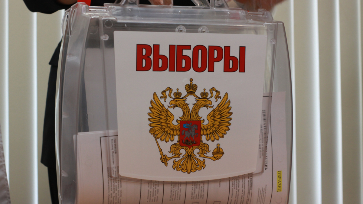 Бывший член АП Сергеева заявила о появлении конкуренции на выборах