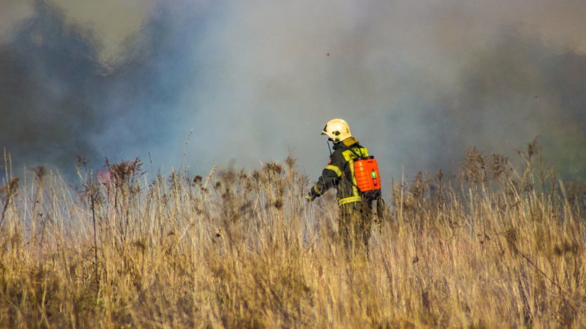 В Якутии ввели режим ЧС федерального характера из-за лесных пожаров