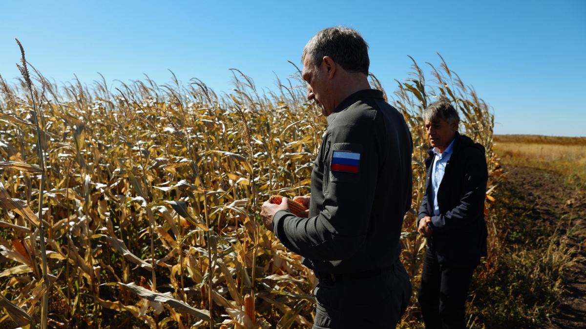 Губернатор Приамурья оценил ход уборочной и посетил стройплощадку соевого завода