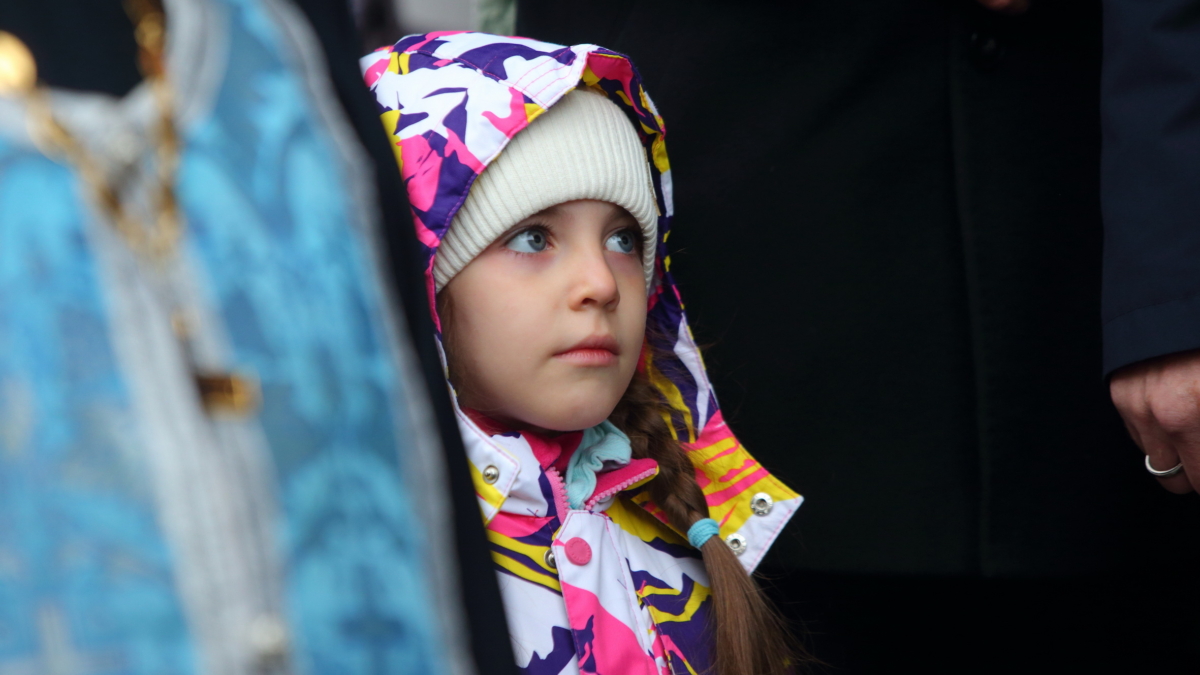 Губернатор Владимир Мазур принял участие в Крестном ходе с Казанской иконой Божией матери