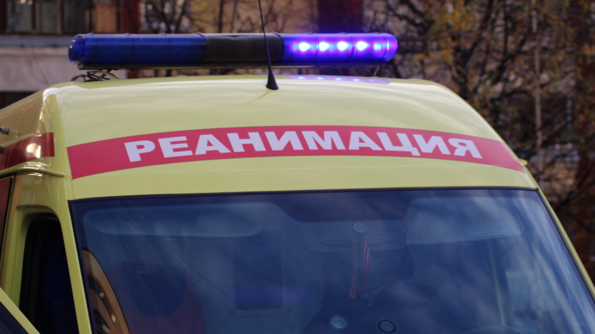 В московском ресторане сербской кухни скончался 17-летний парень после съеденных креветок ИА «Тульская пресса»