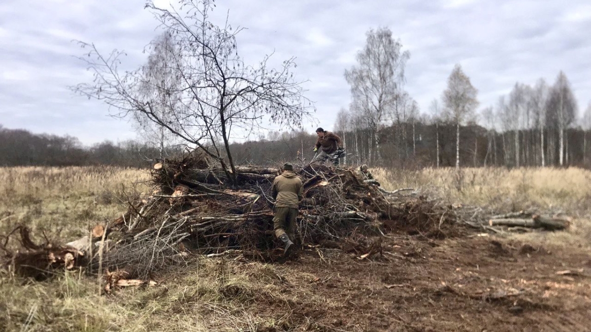 Василий Анохин рассказал об интенсивном восстановление реки Вазуза