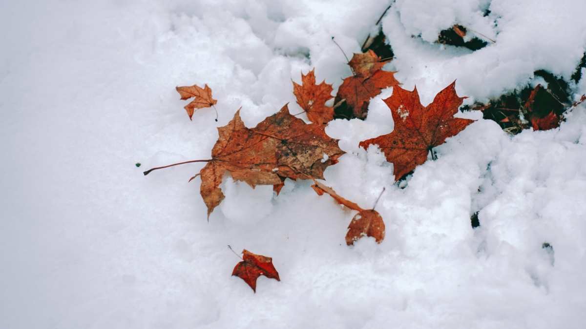 Недостаток естественного освещения вызывает сонливость и ухудшение настроения Светлана Мулыкина