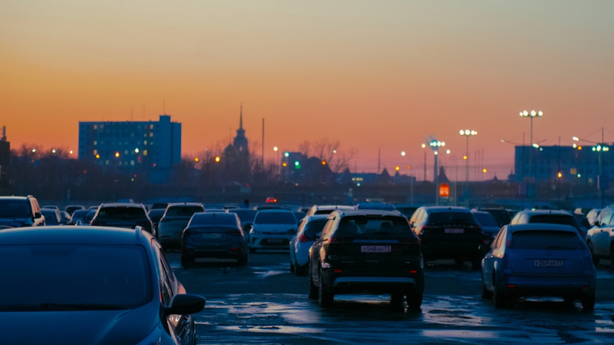 Светлана Мулыкина