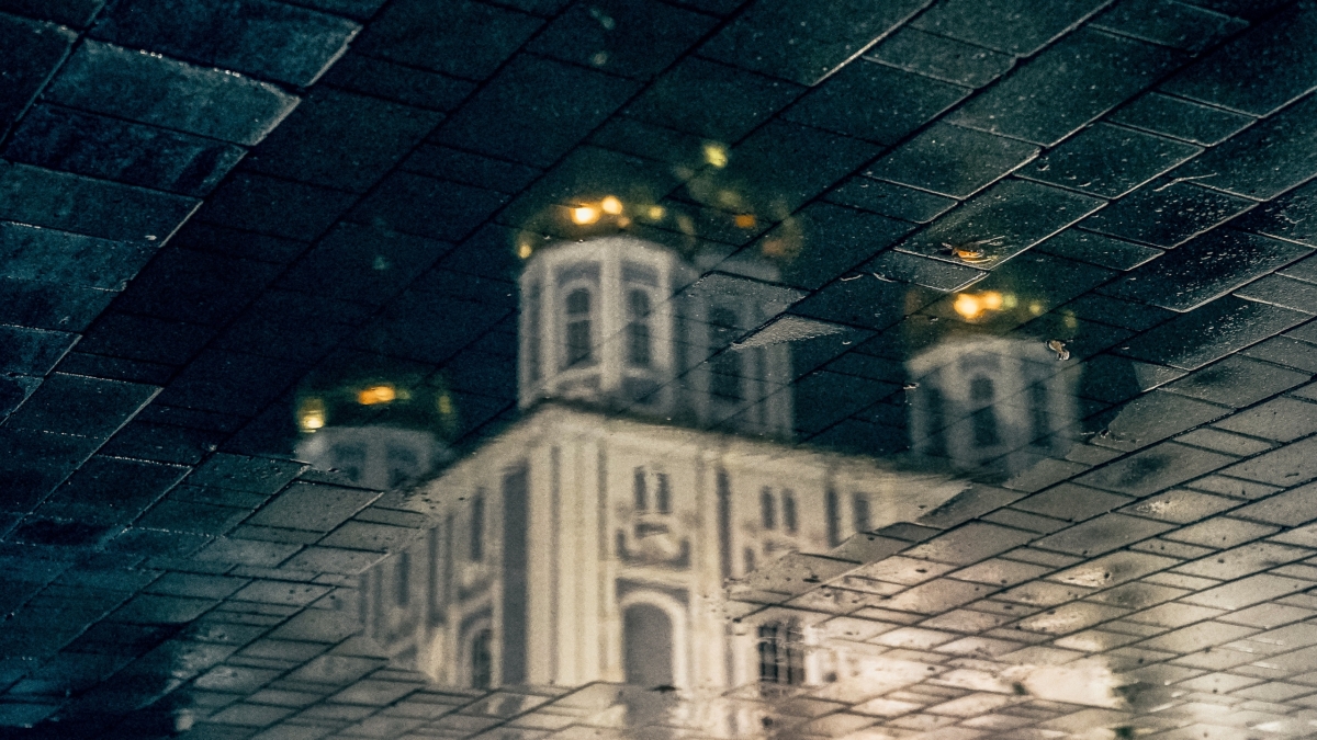 Светлана Мулыкина
