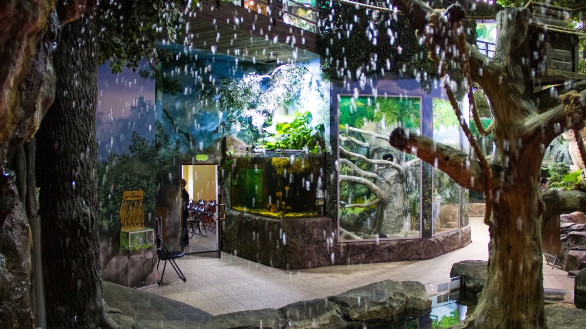 Экс-премьер Великобритании пострадал от клюва страуса на глазах у семьи ИА SM-News