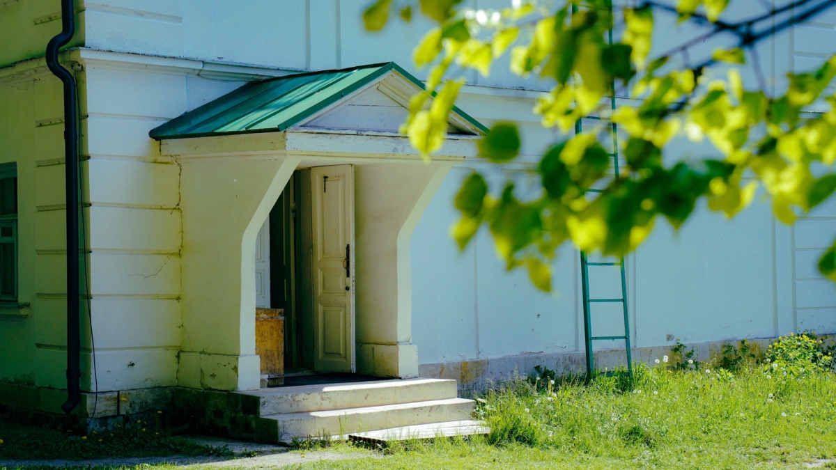 Светлана Мулыкина

