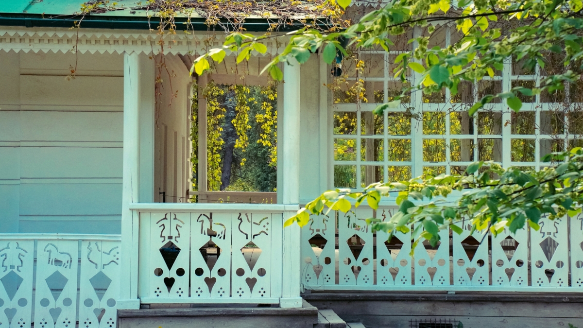 Светлана Мулыкина
