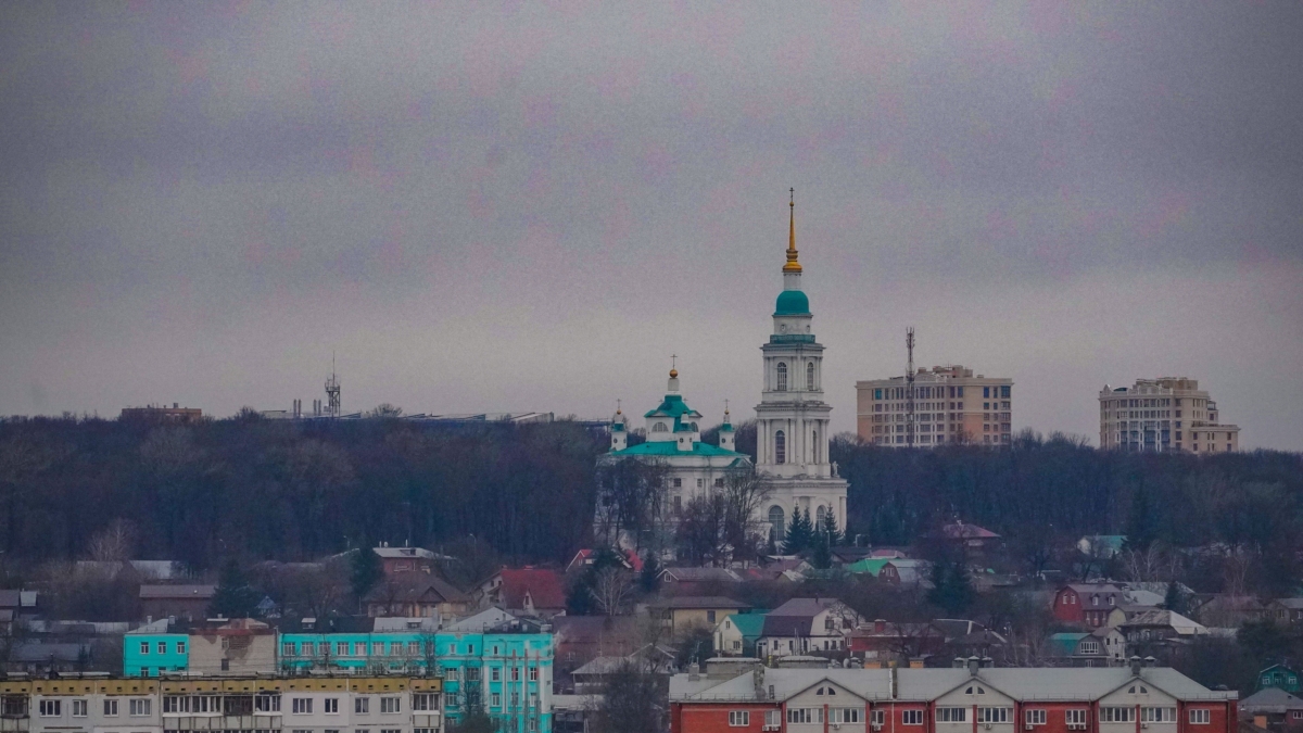 Светлана Мулыкина