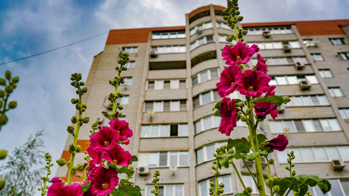 Светлана Мулыкина