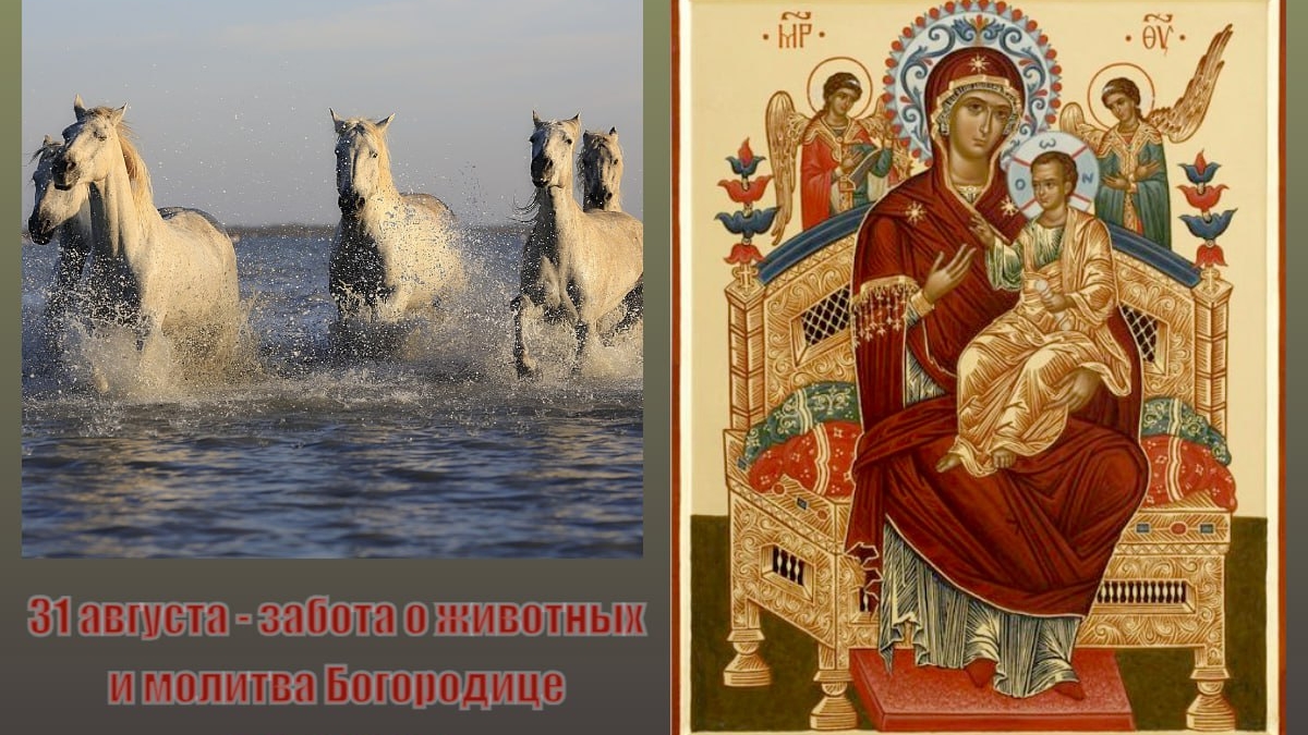 ИА SM-News, Икона Богородицы 