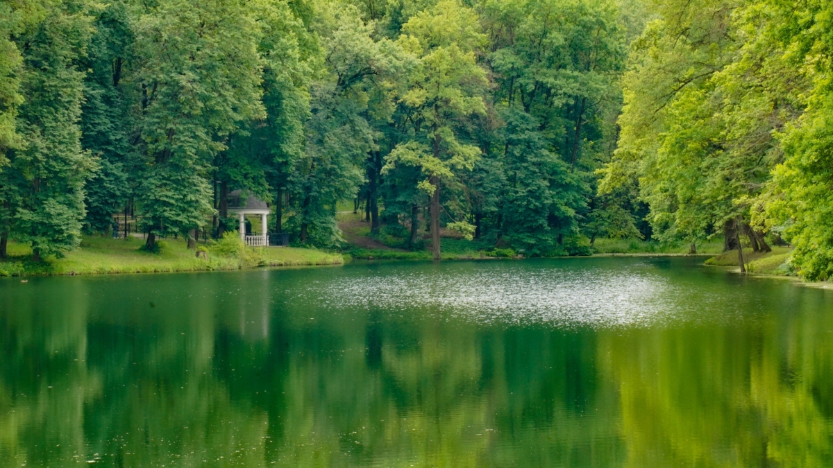 Светлана Мулыкина