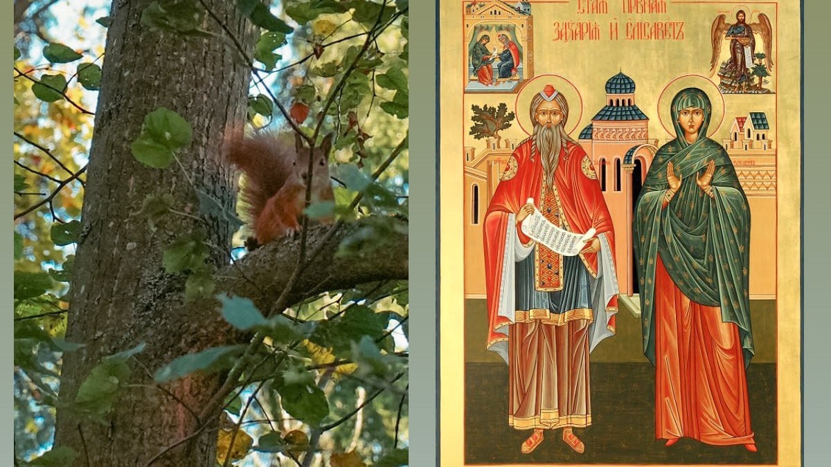 18 сентября - запрет на стирку и молитва о детях: в Кумохин день и память родителей Иоанна Крестителя Икона Прор. Захария и Прав. Елисавета, родители Иоанна Крестителя, Коллаж ИА SM-News