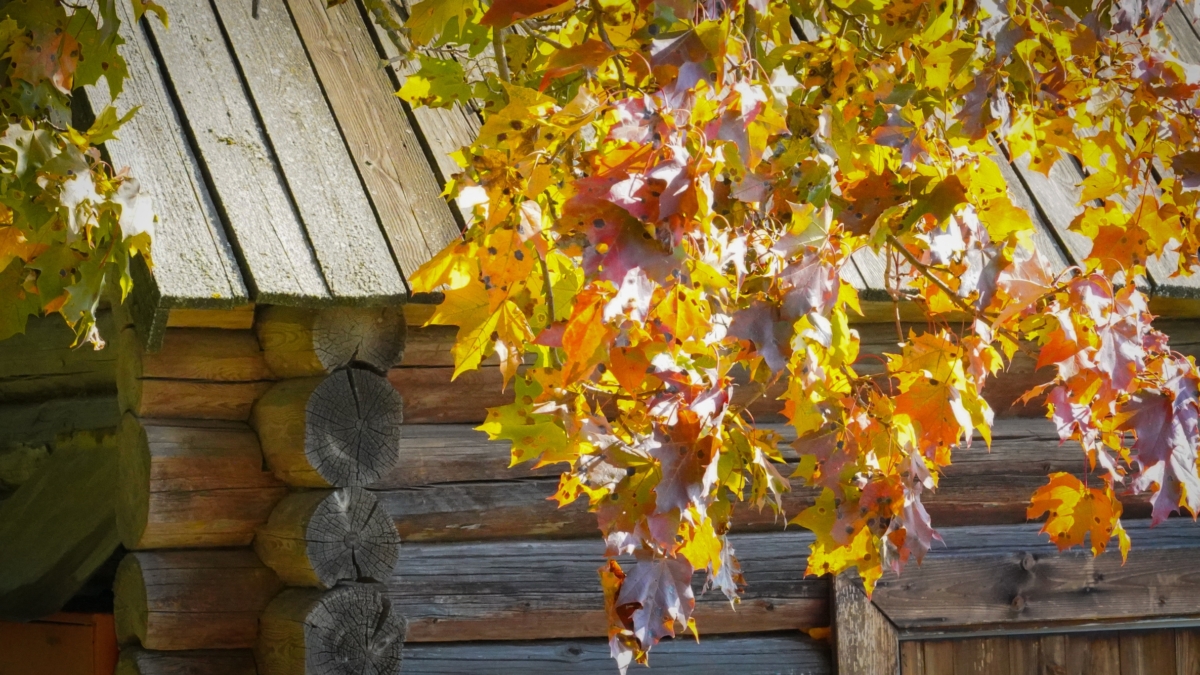 1 октября — Арина Шиповница и Чудо-иконы. Что делать, а что под запретом? Погода покажет 1 апреля ИА SM-News