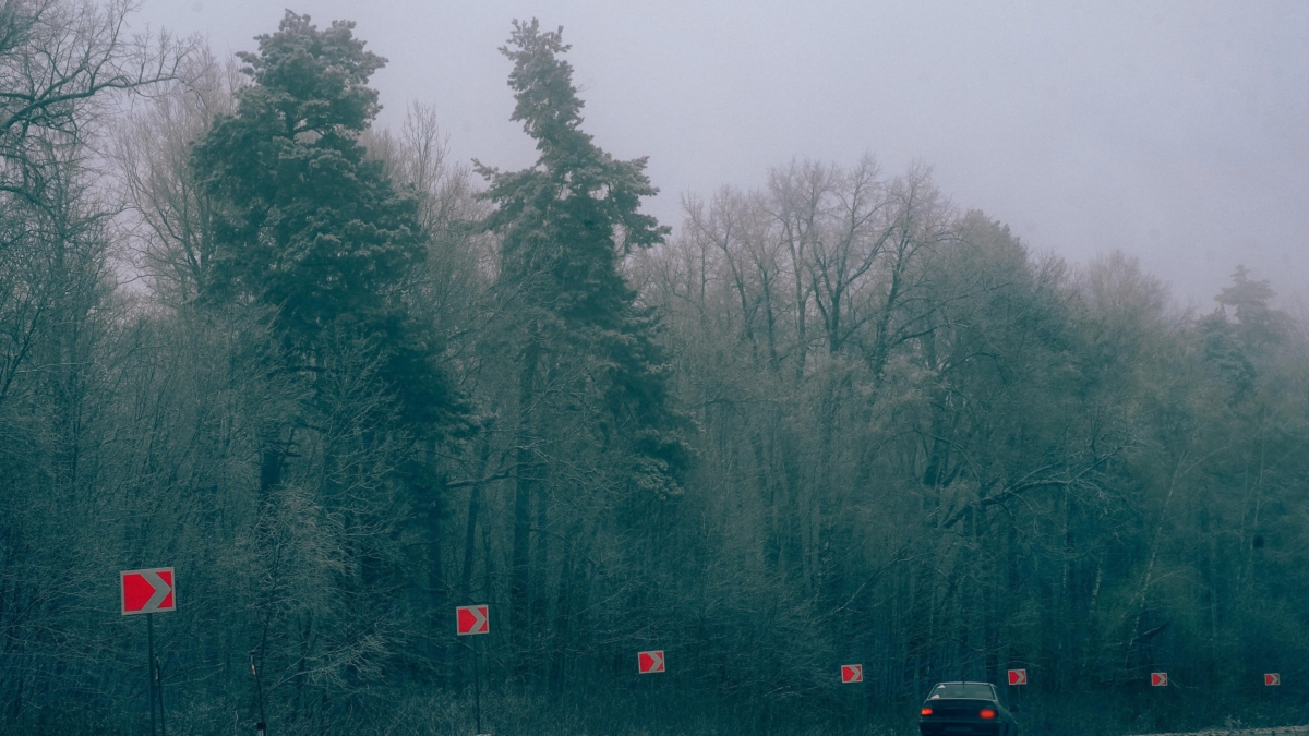 Куда девать масло после замены: ошибка, из-за которой гибнет рыба и растут штрафы Светлана Мулыкина