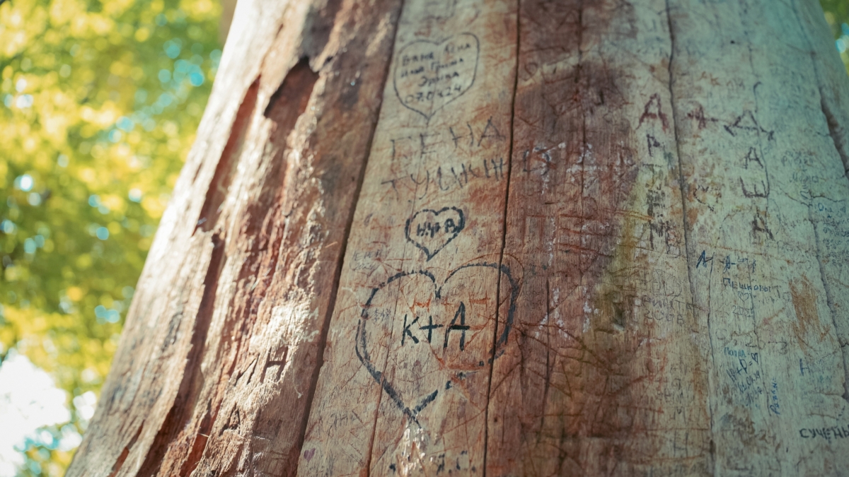 Судьбоносный октябрь 2025: 5 знаков, кому суждено встретить свою любовь в течение месяца ИА SM-News