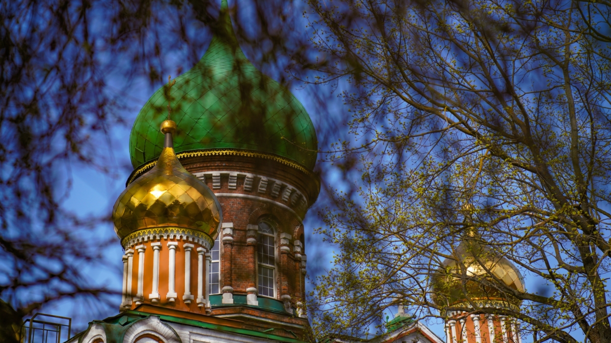 Светлана Мулыкина 