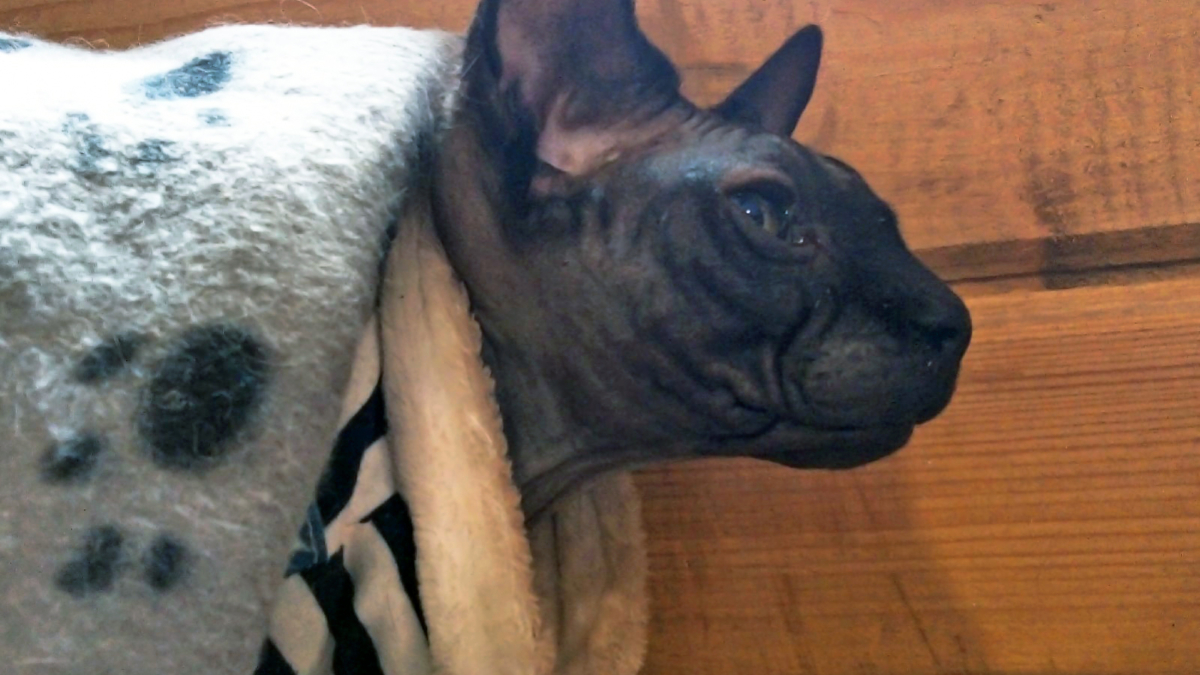 Экономно и тепло: как выбрать самый выгодный обогреватель в 2025 году — важна не только мощность Светлана Мулыкина