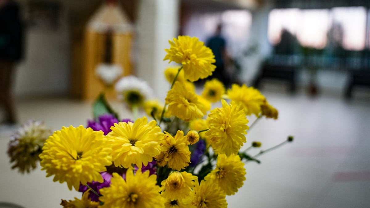 Что можно и нельзя 29 октября — Лонгин Вратник: 5 дел и табу, приметы, молитва, исцеляющая зрение ИА SM-News