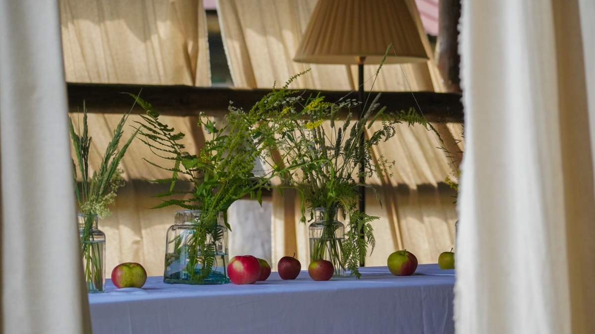 Алхимия уюта: как превратить квадратные метры в место силы — привычки, которые наполнят дом жизнью ИА SM-News