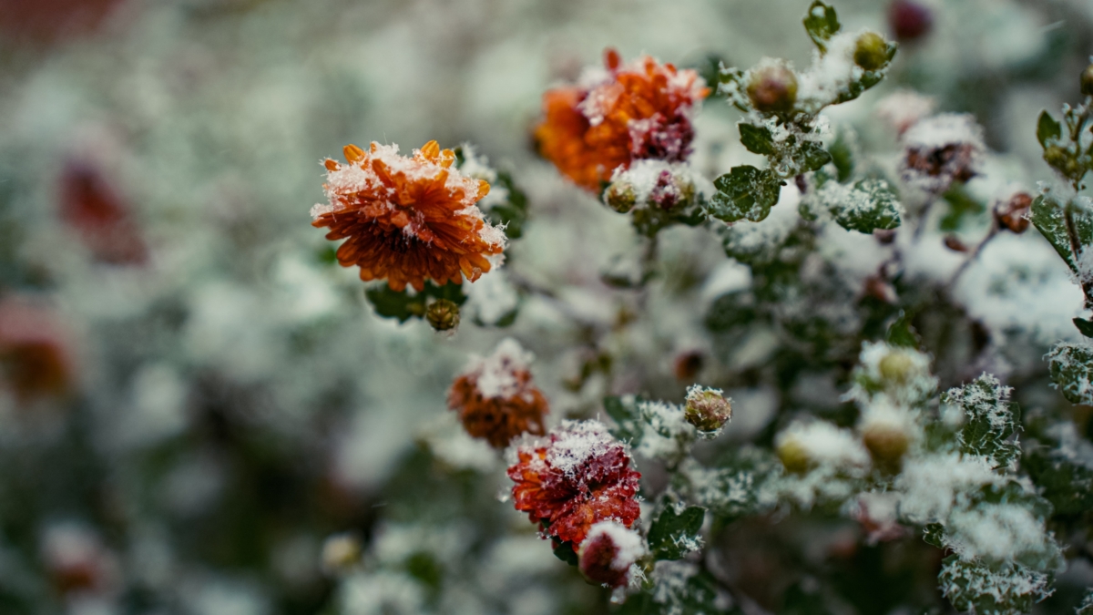 Последнее послание октября 2025: советы от Вселенной для всех знаков до конца месяца Светлана Мулыкина