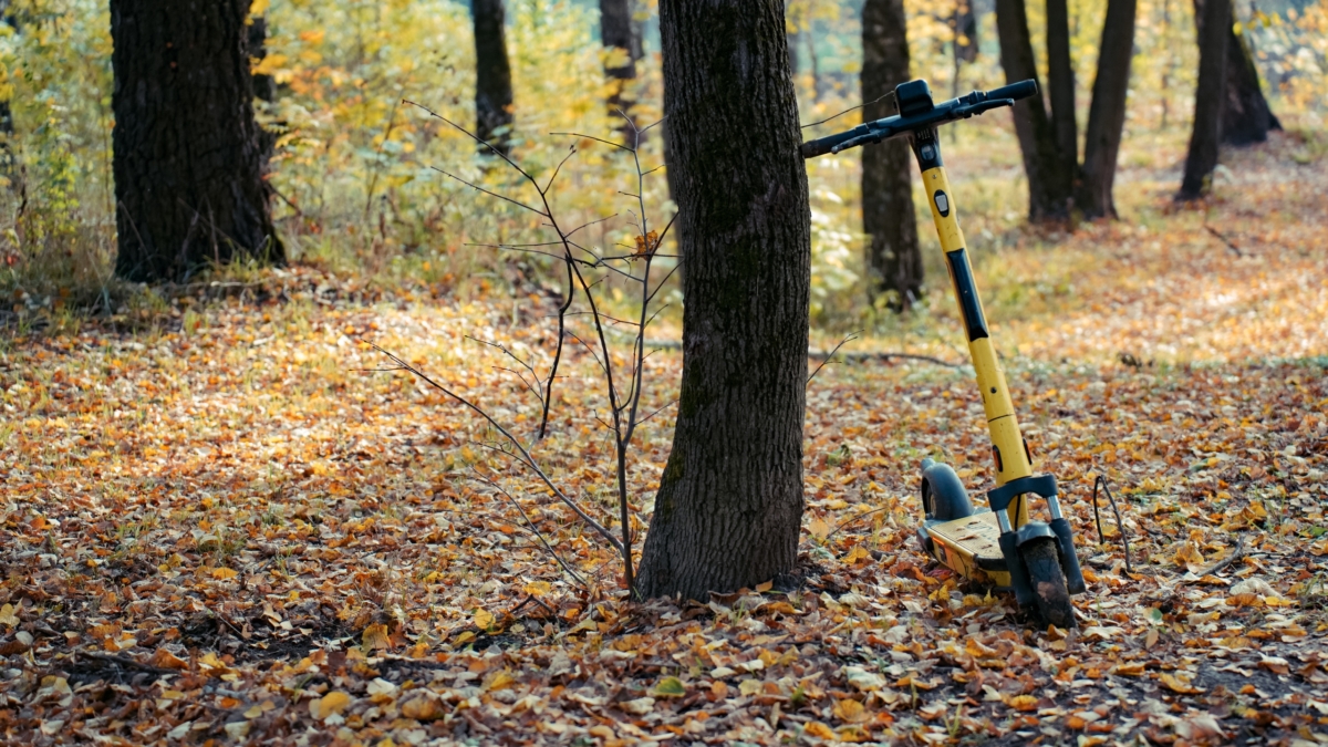 Код доступа к энергии в ноябре: 15 шагов для тонуса — умный свет, дисциплина, лакомства и не только Светлана Мулыкина
