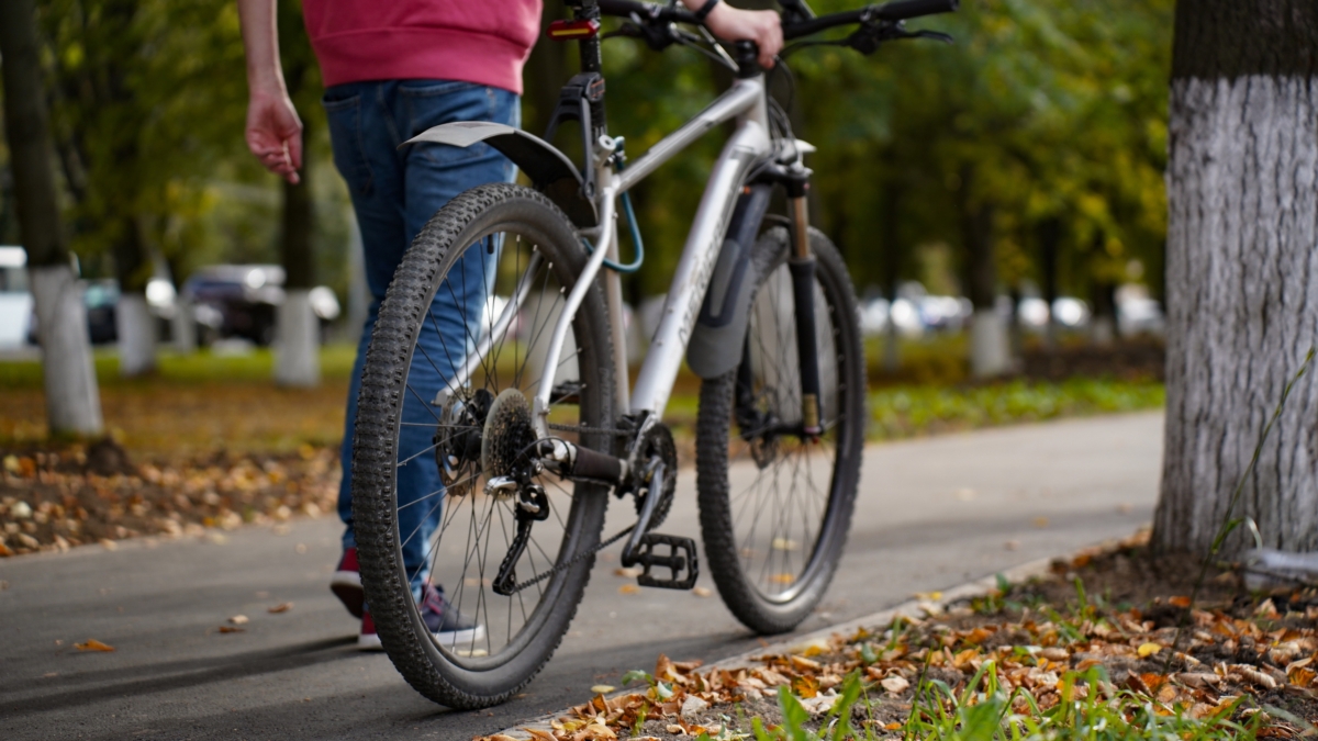 Лунный календарь ноябрь-2025: инструкция, чтобы успеть всё —  когда планировать, а когда делать ИА SM-News