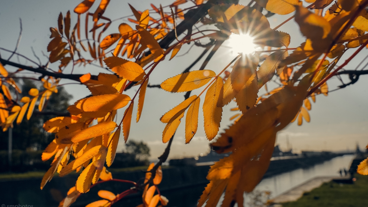 Хаос или перезагрузка в ретроградный Меркурий? Инструкция по выживанию для всех знаков в ноябре-2025 ИА SM-News