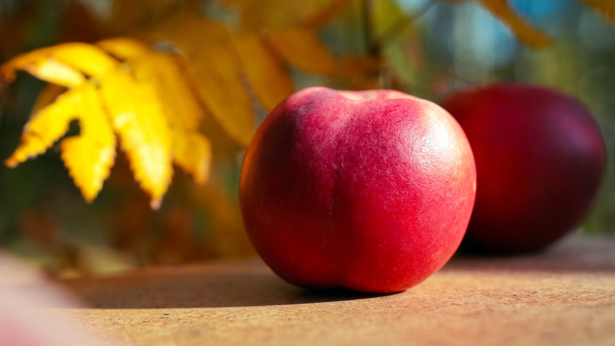 Магия палитры: почему в ноябре-2025 зелёный может вам навредить — цвета-проводники и цвета-ловушки ИА SM-News