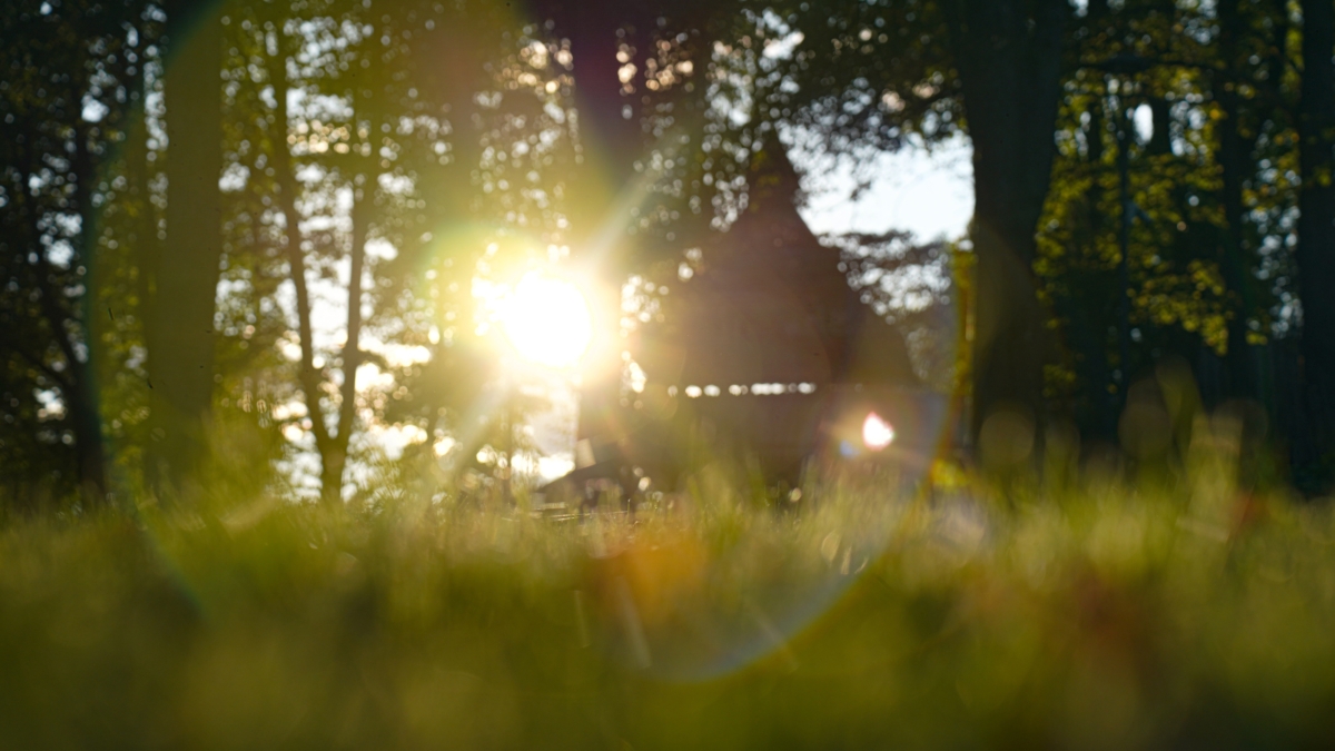 3 ноября — праздники: День домохозяйки и домохозяина, именинники по церковному календарю и не только ИА SM-News